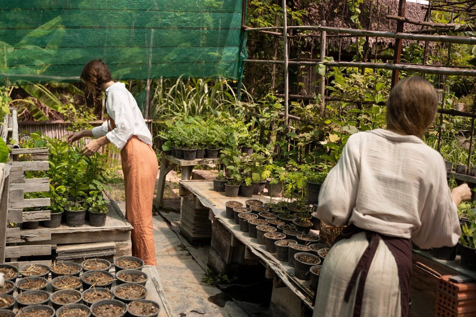 Greenhouse Covering Materials That Actually Work